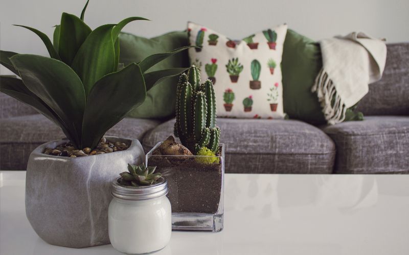 Ideias de decoração com objetos que você já tem em casa
