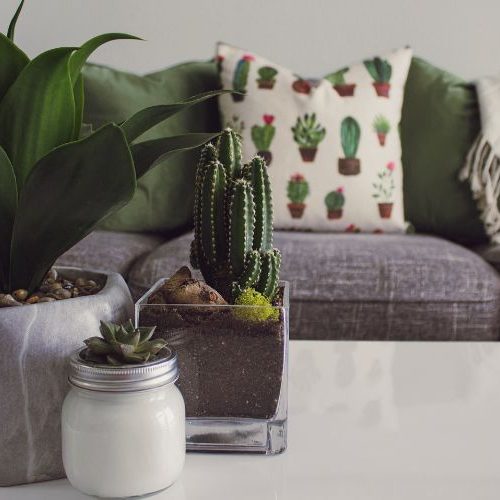 Ideias de decoração com objetos que você já tem em casa