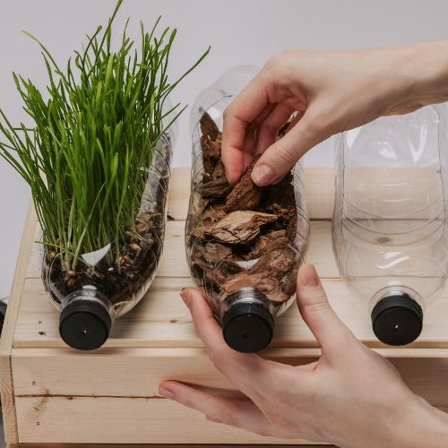 Como montar um jardim vertical em casa, passo a passo